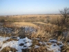 Pasture
