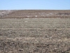 View-from-North-side-East-Qrtr