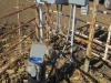 diessner-pivot-pasture-001