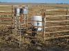 diessner-pivot-pasture-002