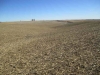 diessner-pivot-pasture-018