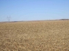 diessner-pivot-pasture-019