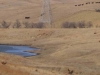 diessner-pivot-pasture-020