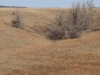diessner-pivot-pasture-021