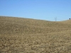 diessner-pivot-pasture-022